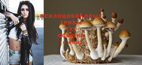 spice Беломорск