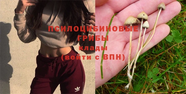 spice Беломорск